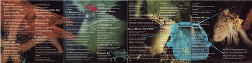 CD Canada insert 2