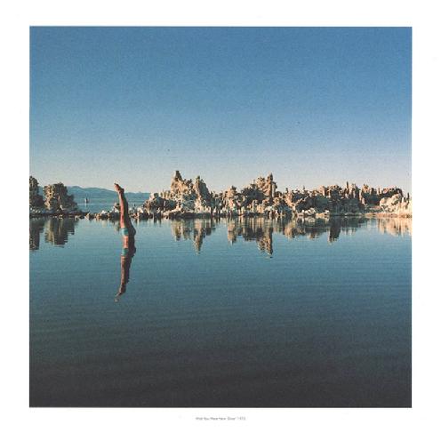 Immersion print
